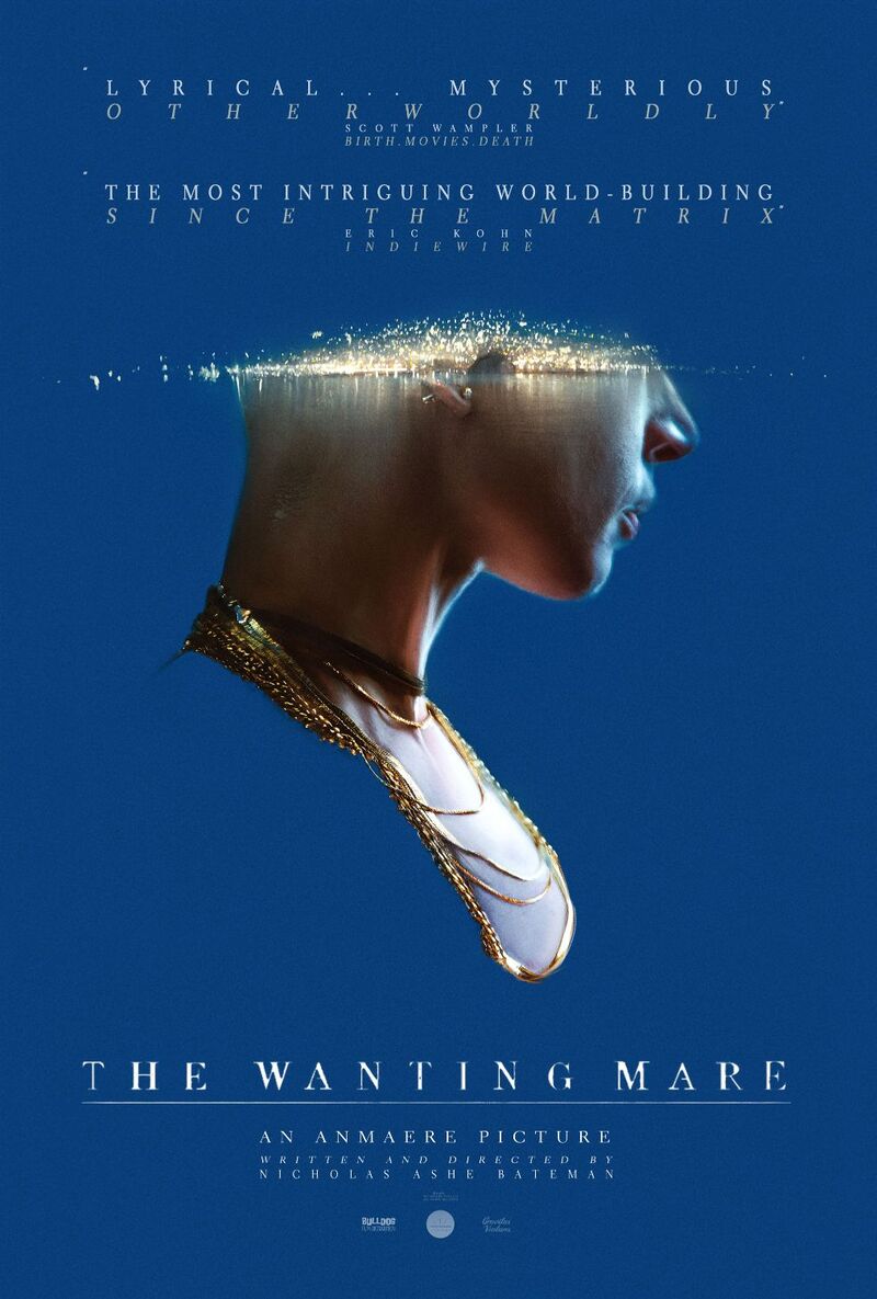 the wanting mare poster