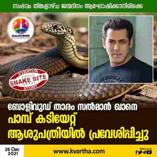Kerala,News,National,Top-Headlines,Salman Khan,Bollywood,Snake,Birthday Celebration,Mumbai, Salman Khan gets bitten by snake.