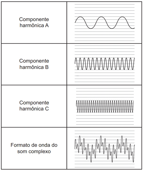 RODRIGUES, F. V. Fisiologia da música, uma abordagem comparativa (Revisão). Revista da Biologia, v. 2, jun. 2008.