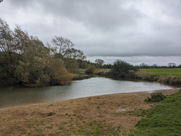 River Ouzel from the 'beech'