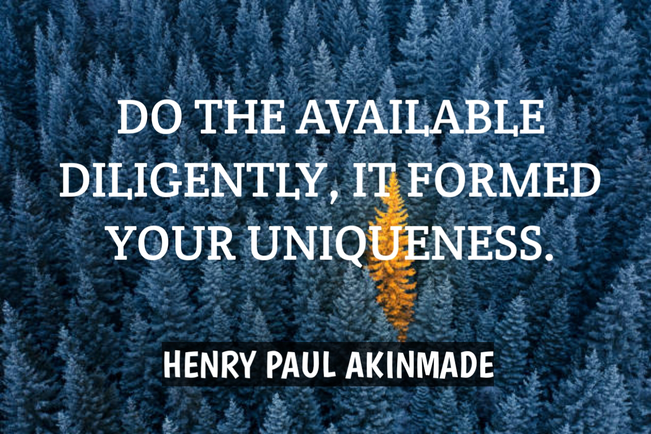 BE DILIGENT WITH THE AVAILABLE( GOOD ) TO ACHIEVE WHAT YOU DESIRE (God's big picture for you)