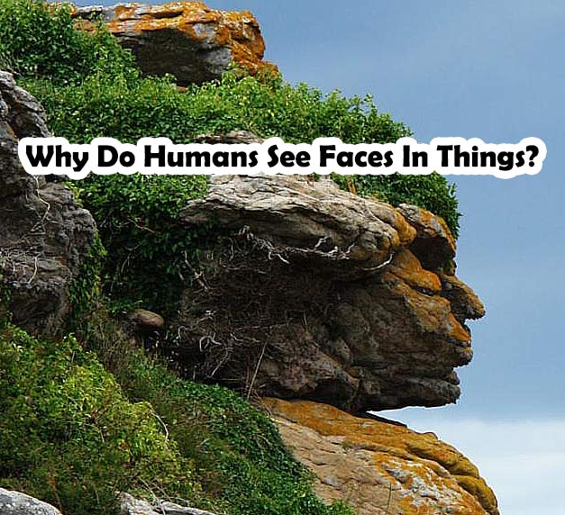 Why Do Humans See Faces In Things?