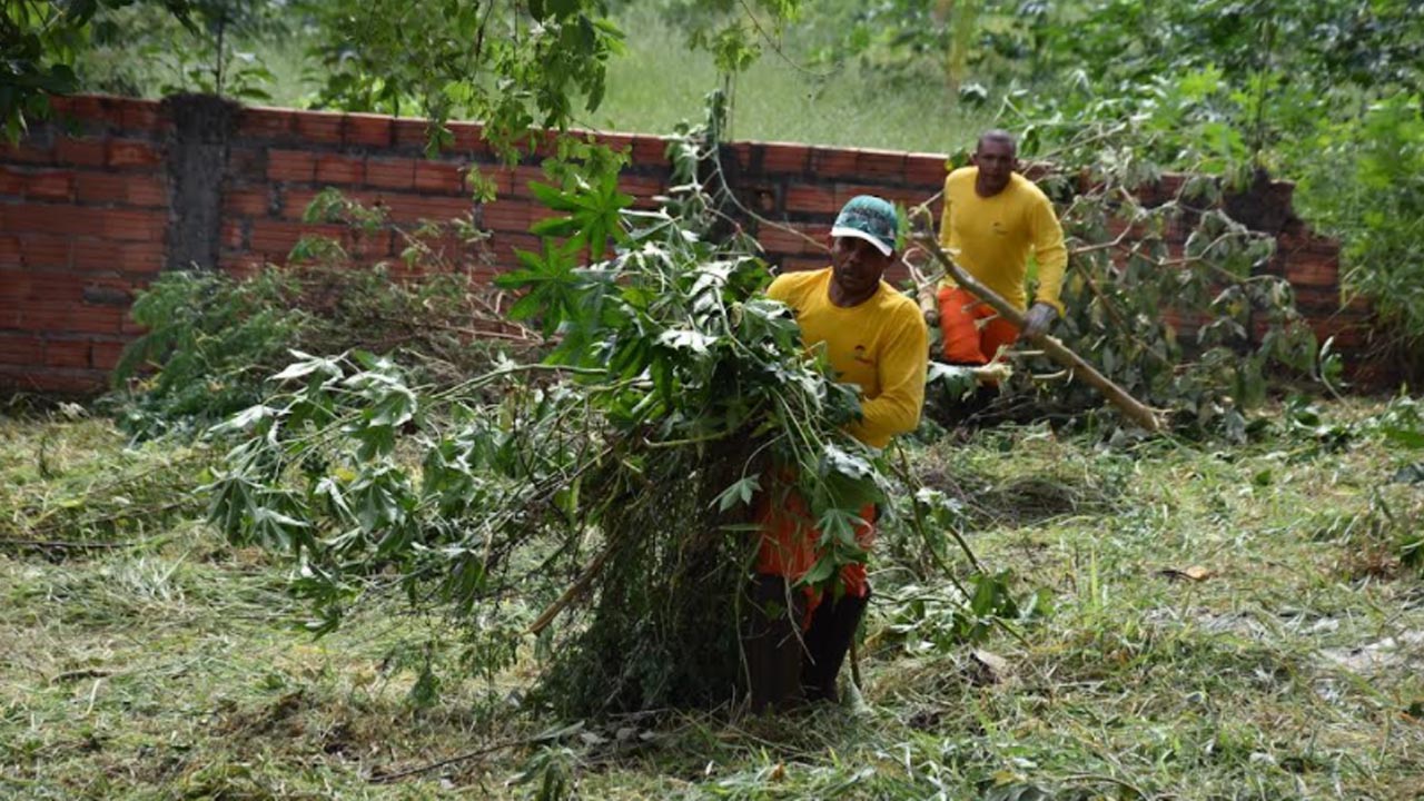 Prefeitura publica decreto dando prazo para limpeza de terrenos em Botucatu