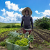 Quintais produtivos, mecanização e barragem garantem autonomia financeira para agricultores familiares de Cruz das Almas