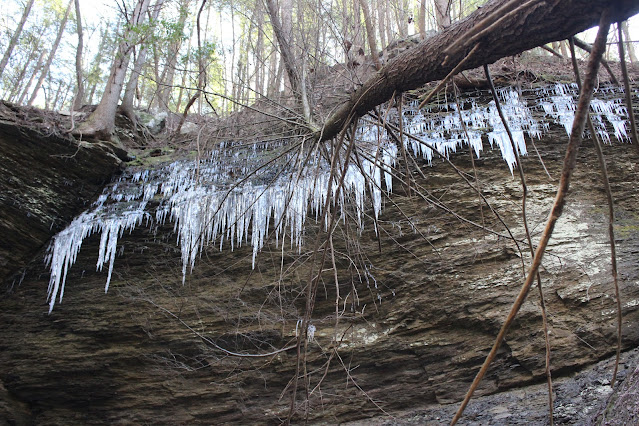 icy bluffs