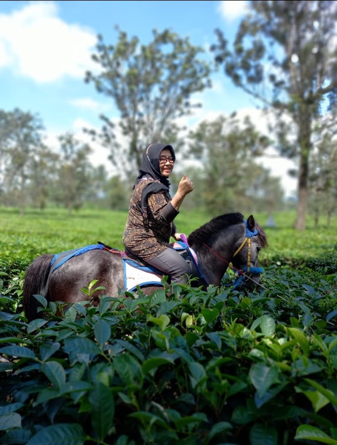 Tim Elang Prawita GENPPARI Olah raga Berkuda di Perkebunan Teh