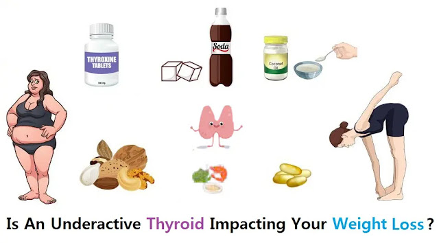 Is An Underactive Thyroid Impacting Your Weight Loss?