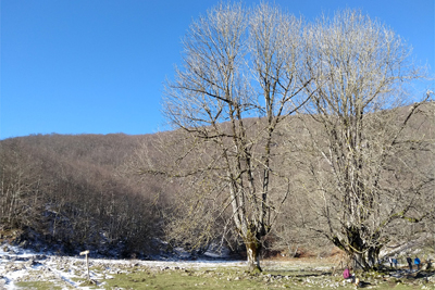 Campas de San Adrián