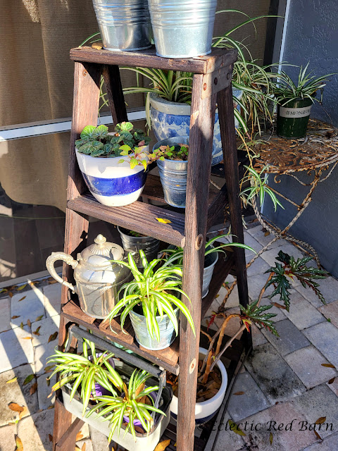 Ladder Plant Stand. Share NOW. #oldladder #plantstand #gardening #eclecticredbarn