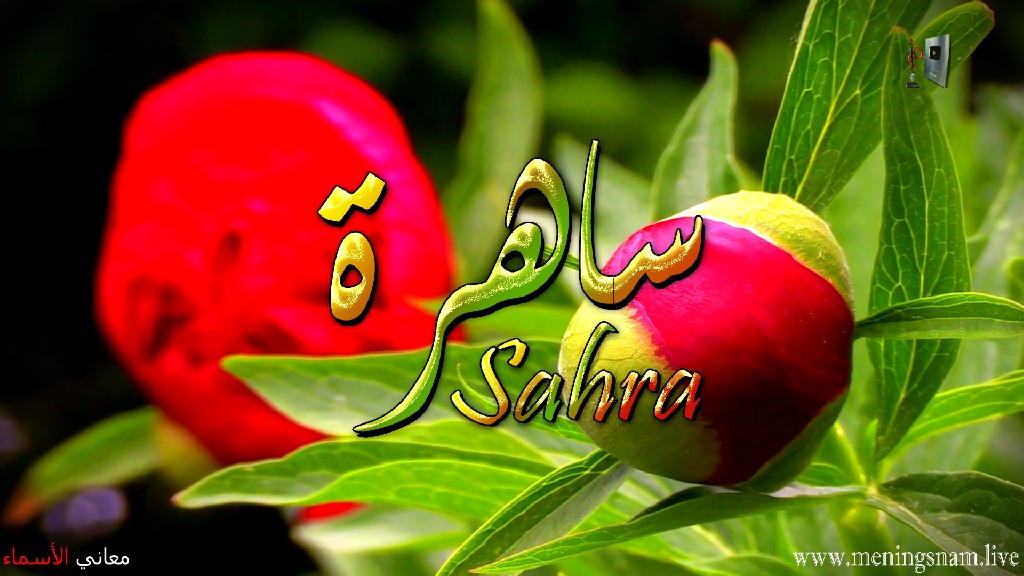 معنى اسم, ساهرة , وصفات, حاملة , هذا الاسم , Sahra,