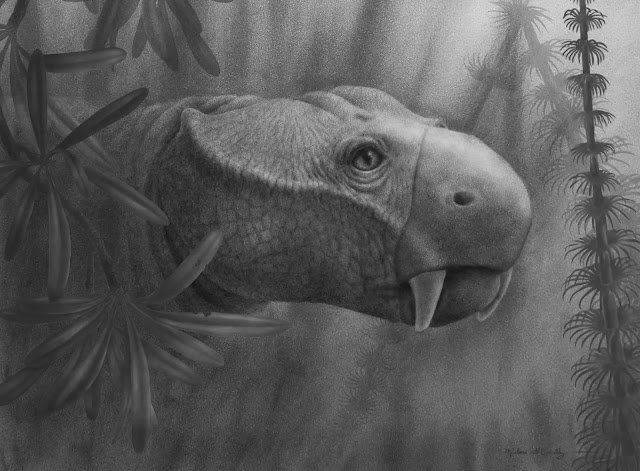 Exámenes dentales fósiles revelan cómo evolucionaron los colmillos