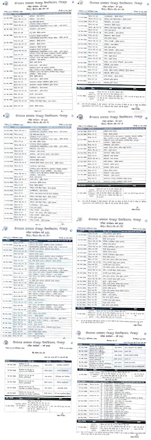 DDU GKP Exam Time Table 2022 of UG/PG Annual