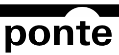 Ponte Jornalismo