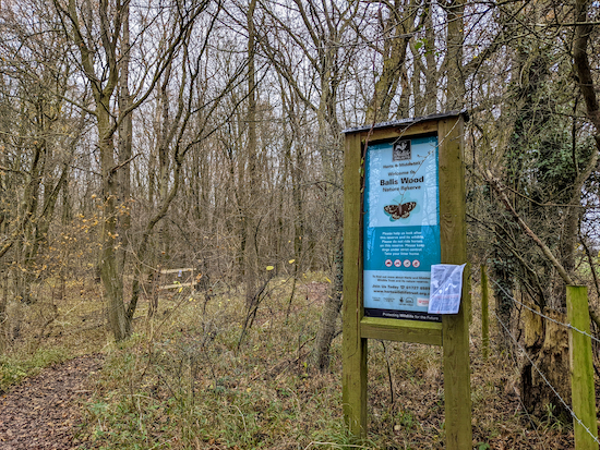 The SW entrance to Balls Wood