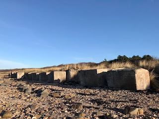 A photo showing Anti Tank Blocks on the beach near Longniddry Bents.  These are large concrete blocks and they  appear to have been topples over so that they are now rectangular in shape as the bases are no longer buried in the sand. Photo by Kevin Nosferatu for the Skulferatu Project.