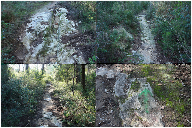 CIMS I COTES DEL BAIX PENEDÈS - BELLVEI AL CASTELL DE LA MUGA, corriol en direcció a La Muga, per l'antic camí de carro, Ruta-1, corriol pels Bufadors i Muntanya del Francisquet