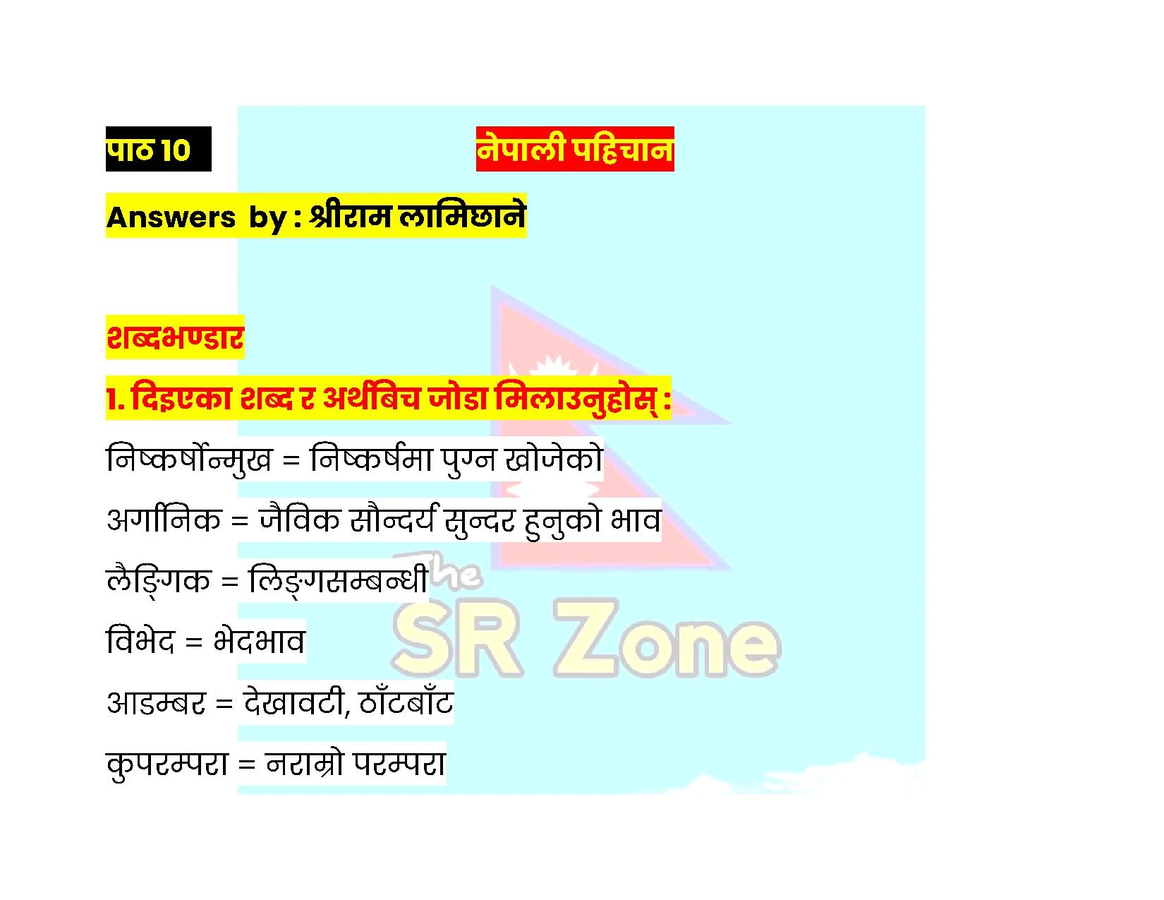 Nepali Pahichan Class 12 Exercise: Nepali Chapter 10
