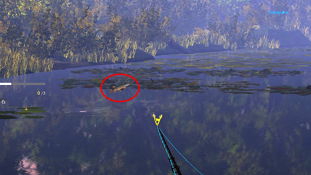 If a pike jumps out of the water, it means there is pike activity at that location.