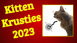 KITTEN KRUSTIES: The Worst Stuff We Reviewed in 2023