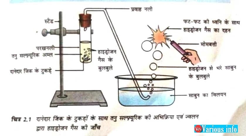 अम्ल एवं क्षारक धातु के साथ कैसे अभिक्रिया करते हैं ? How do acids and bases react with metals? aml evan kshaarak dhaatu ke saath kaise abhikriya kara