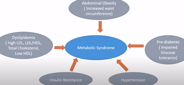 cinnamon and metabolic syndrome