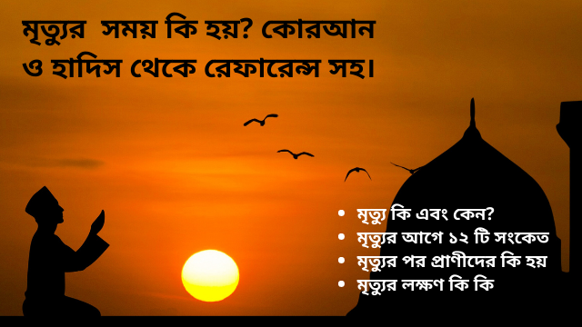 মৃত্যুর আগে ১২ টি সংকেত, মৃত্যু কি এবং কেন, মৃত্যুর পর প্রাণীদের কি হয়, মৃত্যুর লক্ষণ কি কি, মৃত্যু কি সহজ, মানুষের মৃত্যু কেন হয়, মৃত্যুর সংকেত কি কি, মৃত্যু নিয়ে সমবেদনা,