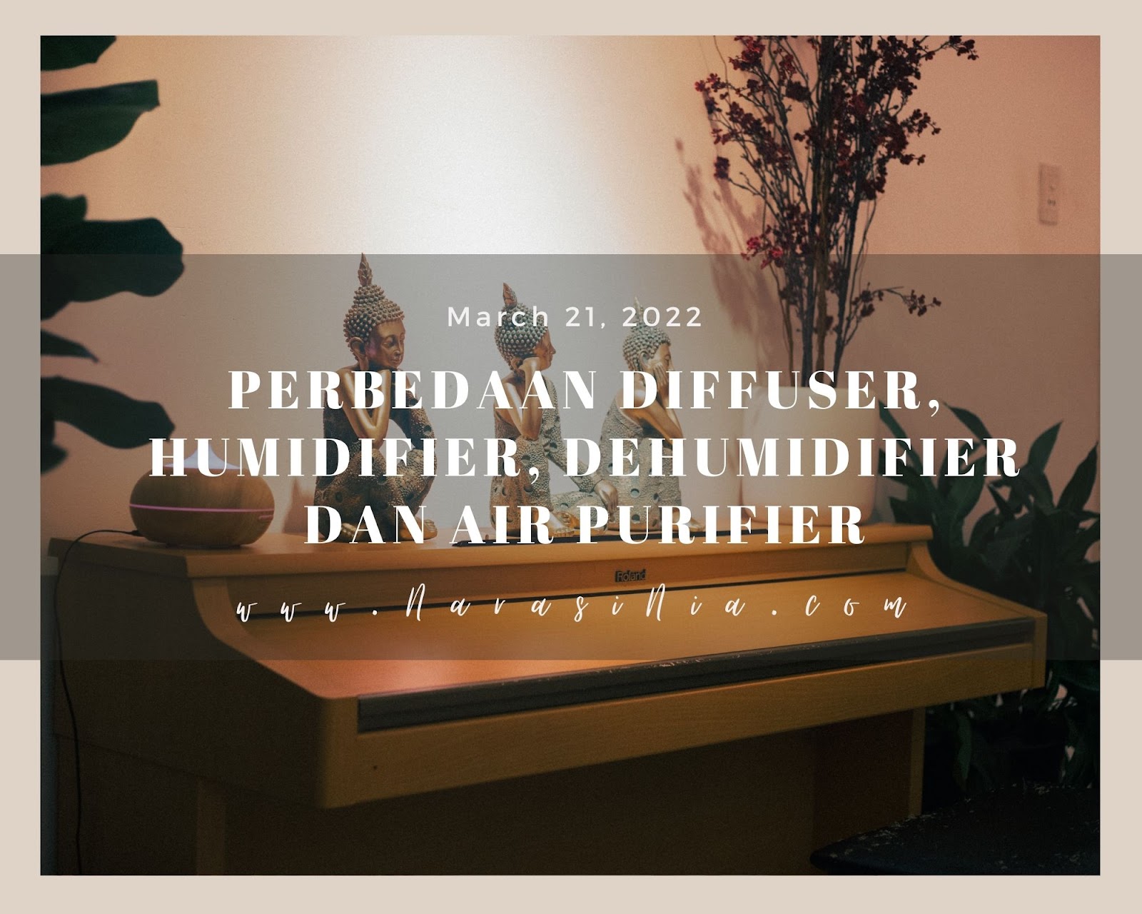 Perbedaan Diffuser, Humidifier, dan Purifier