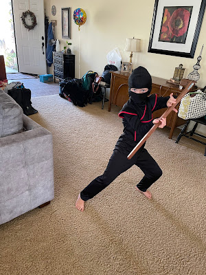 Leven in Ninja vibe