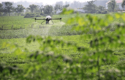 Agricultural drones spraying