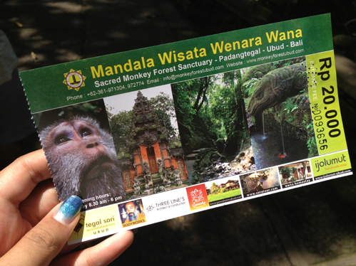 Ubud Monkey Forest : Unique Tour of the Sacred Monkey Forest in Bali 1