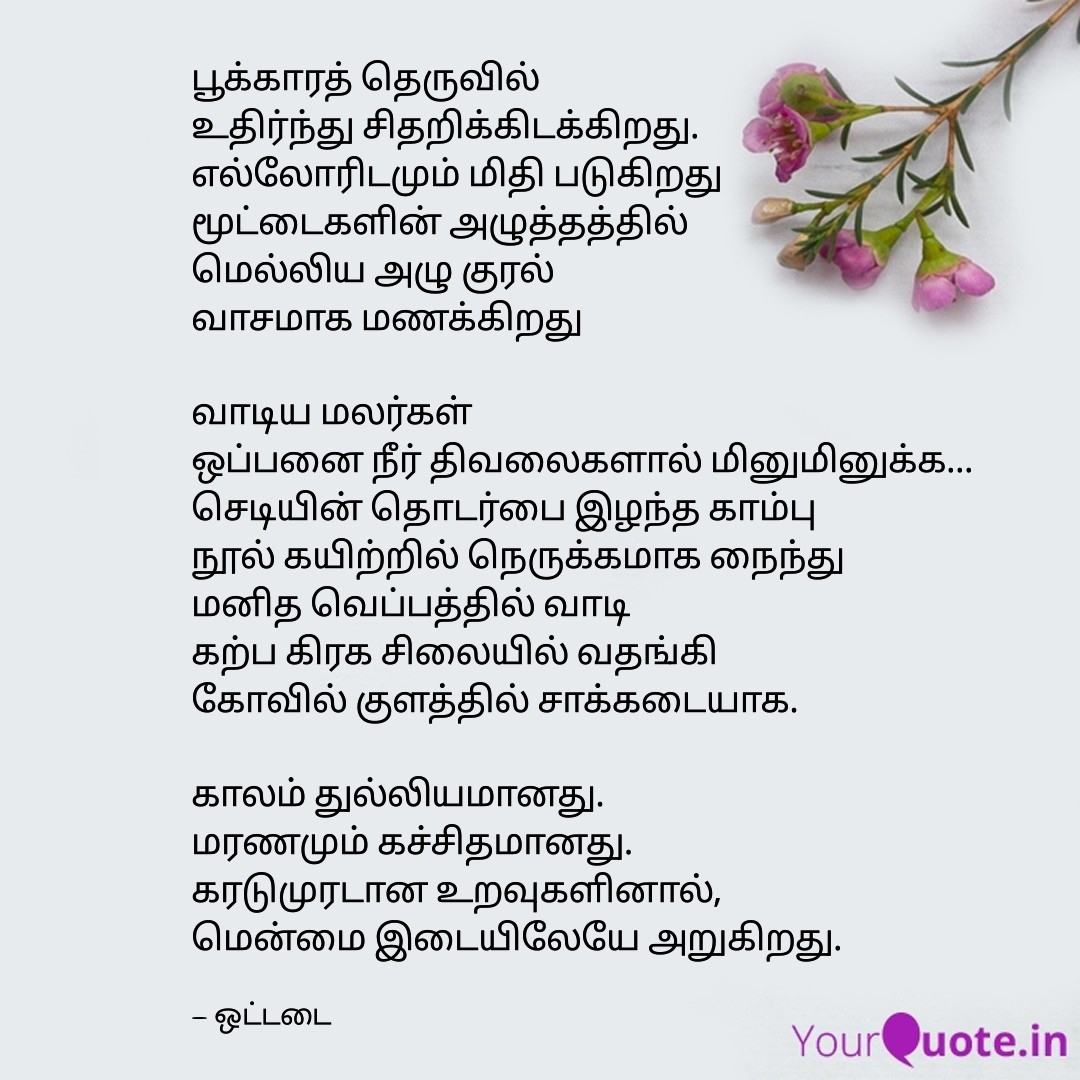 படம்