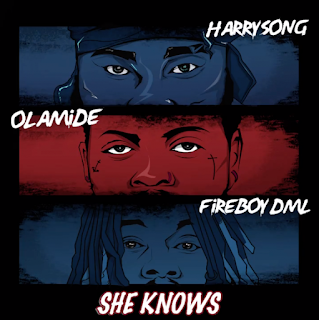 Harrysong – “She Knows” ft. Fireboy DML x Olamide