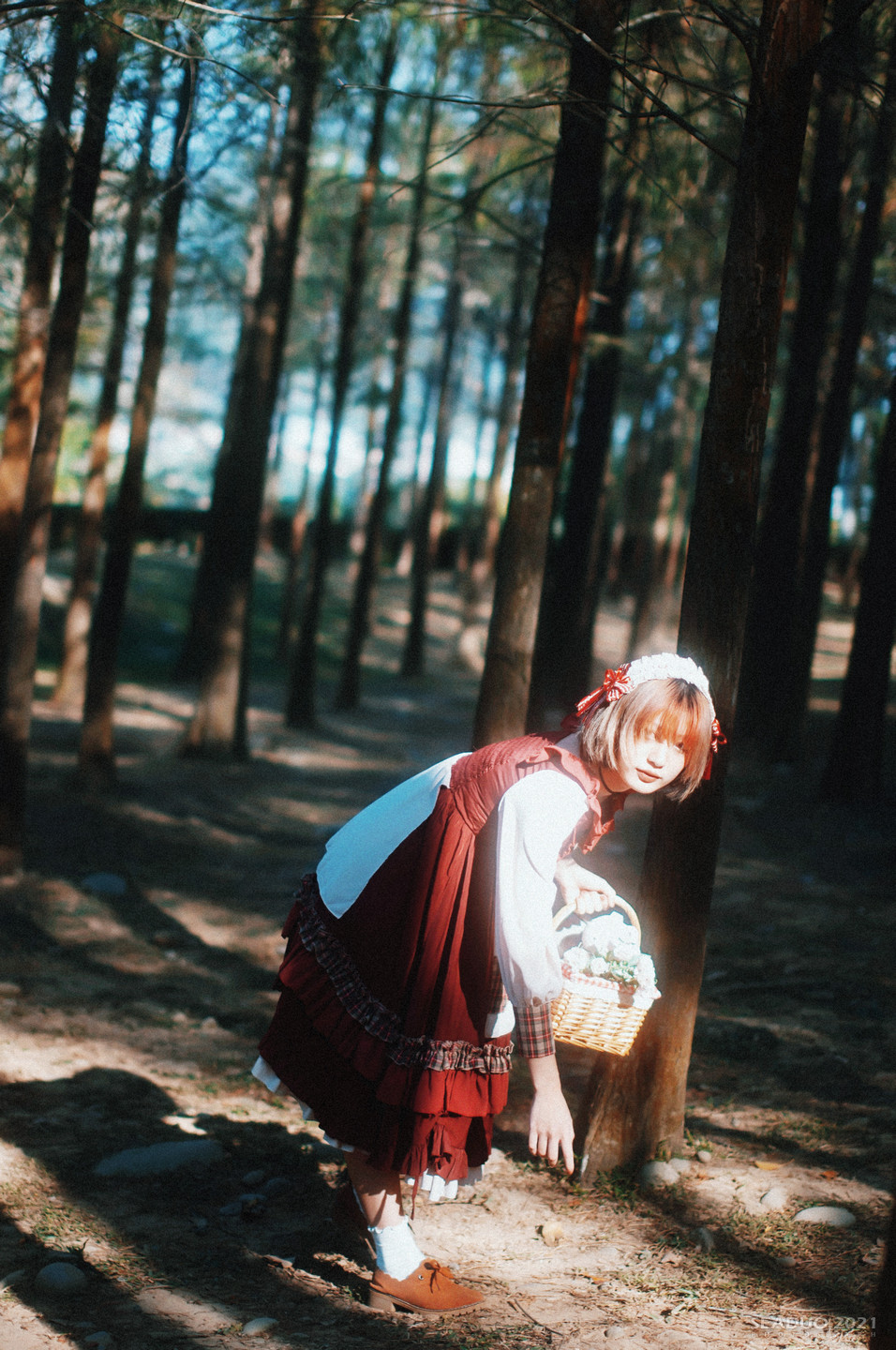 如光山寺落羽松