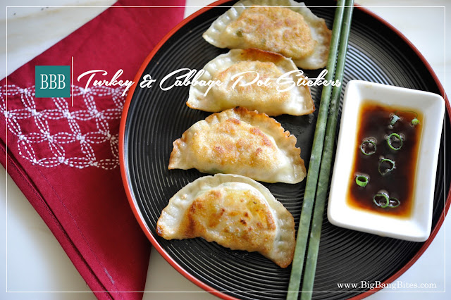 Turkey & Cabbage Pot Stickers