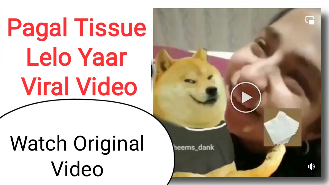 Pagal Tissue Lelo Yaar Viral Video Link, Pagal Tissue Lelo Yaar Viral Video Watch Online, Pagal Tissue Lelo Yaar Viral Video Original