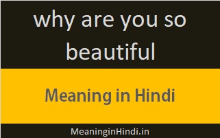 why are you so beautiful meaning in hindi