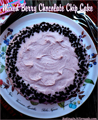 Mixed Berry Chocolate Chip Cake is studded with mini chocolate chips and topped with a blackberry frosting. | recipe developed by www.BakingInATornado.com | #recipe #cake