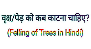 वृक्ष/पेड़ को कब काटना चाहिए - Felling of Trees in Hindi