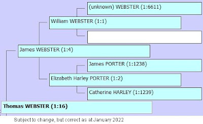 Earliest known Websters as at January 2022
