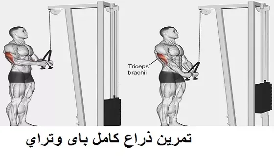 تمرين ذراع كامل باى وتراي