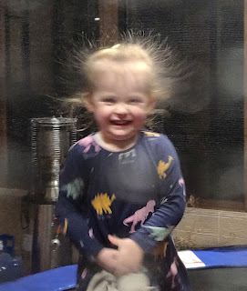 Rosie static hair on the trampoline