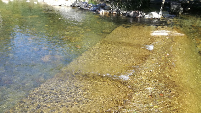 beleza das águas cristalinas da praia Fluvial do Ceira