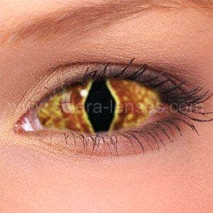 Costume contact lenses