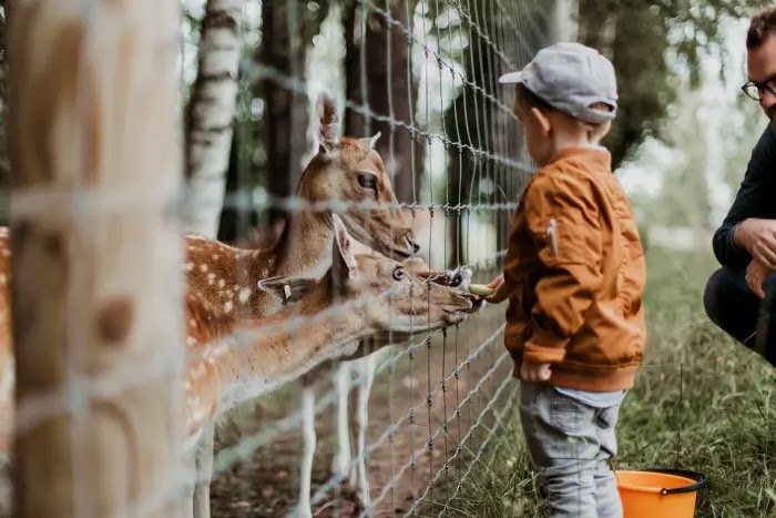 Tips liburan ke kebun binatang dan taman safari bersama anak