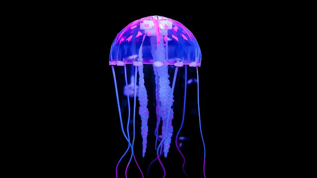 jellyfish-aquarium
