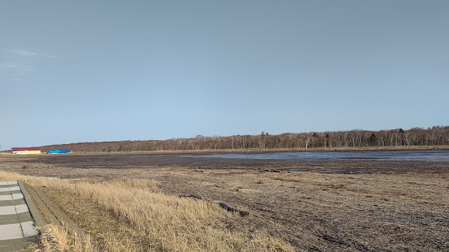 北海道 道東 野付半島 ナラワラ