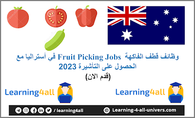 وظائف قطف الفاكهة  Fruit Picking Jobs في أستراليا مع الحصول على التأشيرة 2023