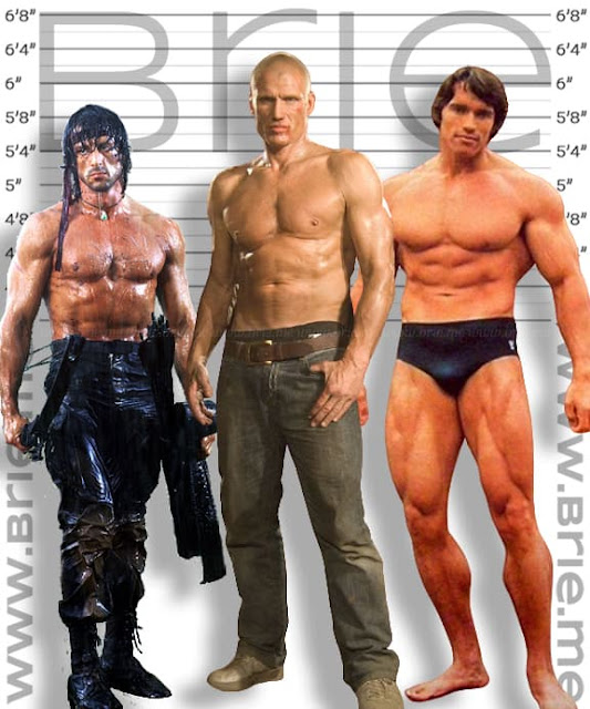 Dolph Lundgren Height