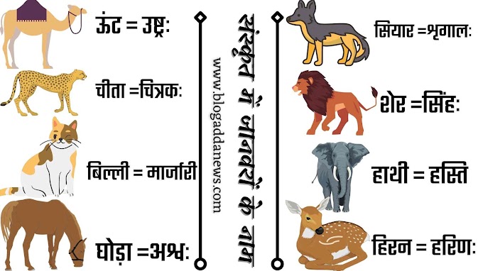 Animals Name in Sanskrit - संस्कृत में जानवरों के नाम 