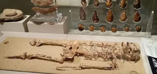 Unique collection in National Museum of Egyptian Civilization (NMEC), Fostat